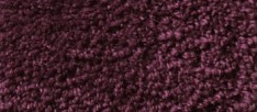 Grass Type Carpet Texture