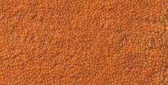 Domestic carpet texture