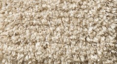Shaggy Carpet Texture